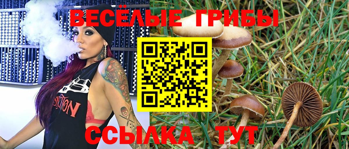 Псилоцибиновые грибы Cubensis  Вход с VPN  Псилоцибиновые грибы Cubensis  Гай 