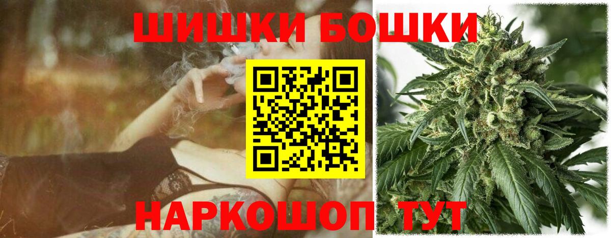 Канабис сатива Гай